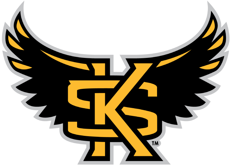 Kennesaw State Owls 2012-Pres Alternate Logo iron on transfers for fabric